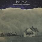 Brumic - Between The Wish And The World