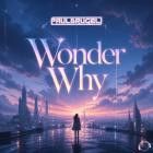 Paul Brugel - Wonder Why
