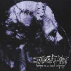 In Contempt - Severance