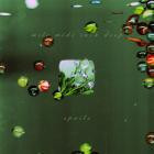 Spoils - - Mile Wide Inch Deep  