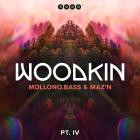 WOODKIN aka Mollono Bass & MAZ'N - WOODKIN - Part 4  