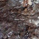 RNGD - Oruga