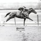 FAIG - Against All Odds EP