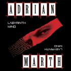 Adrian Marth-Labyrinth Mind- SBOX021 -24BIT-WEB-FLAC-2025-BABAS