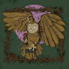 Snag - All The Cages Holding Us Will One Day Turn To Dust