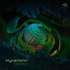 Mycelliohm - Impermanence