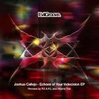 Joshua Calleja - Echoes Of Your Indecision