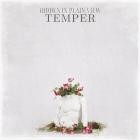 Hidden In Plain View - Temper