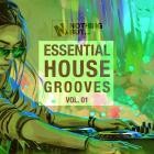 VA - Nothing But -  Essential House Grooves, Vol  01