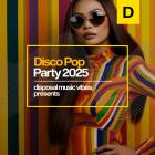 VA - Disco Pop Hits 2026