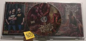 Divicious Execution-Severely Dilapidation in Horrendous Lunatic- PER239 -CD-FLAC-2026-86D