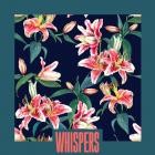 Mozaimood - Whispers