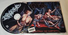 Divulsive-Spawned in Viscera- COMA201 -CD-FLAC-2026-86D