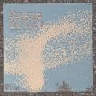 Strange Birds - - Little Vitories  