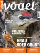 Voegel - Magazin fuer Vogelbeobachtung 88/2025