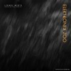 Lionel Weets - Voice of the Void