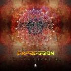 Psilocybe Project - Broken Geometry