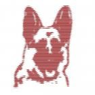 Scott Fraser - ShopURL : https:dxrecordings bandcamp comalbumscott-fraser-expanded-2