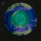 Anml Mthr - Cold Funktion EP