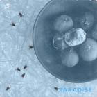 Cell Rot - ParadiseParasite II