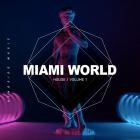 Miami Shakers - Miami World House, Vol  1