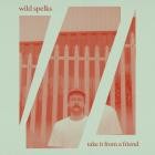 Wild Spelks - Take It From a Friend feat Joe Ernest Allan