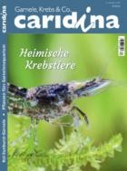 caridina 04/2024