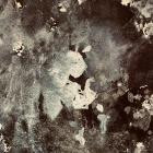 Trismus - A Walk in The Concrete Field EP