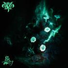 Asylum TX - Cultus Inoxia