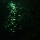 Postdrome - From Heaven, From Nowhere