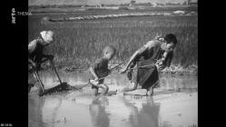 Vietnam.Geburt.einer.Nation.E02.Teilung.1954.-.1962.GERMAN.DOKU.WS.HDTVRip.x264-Goodboy