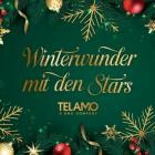 Winterwunder mit den Stars