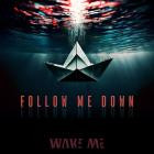 Wake Me - Follow Me Down