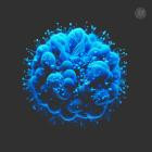 Hod-Biodecoding- GRNSPT024 -24BIT-WEB-FLAC-2024-BABAS