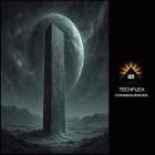 Techflex - Consequences