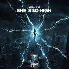 Ziggy X - She's So High