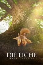 Die.Eiche.Mein.Zuhause.DOKU.German.2022.AC3.BDRiP.x264-SPiRiTBOX