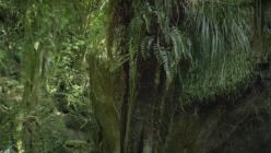 Ein.Planet.vor.unserer.Zeit.S03E03.GERMAN.DL.DOKU.1080p.WEB.h264-HAXE