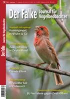 Der Falke - Journal fuer Vogelbeobachter 09/2024