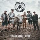 Steve n Seagulls - The Dark Side Of The Moo