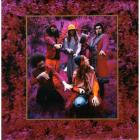 Captain Beefheart - - Grow Fins Rarities 1965-1982  