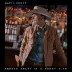 David Serby - Broken Heart in a Honky Tonk
