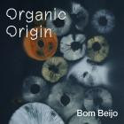 Bom Beijo-Organic Origin- CLOUDSLP008 -24BIT-WEB-FLAC-2026-BABAS