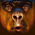 The Chuck Norris Experiment - Hot Stuff II (Rare & Unreleased Chapter 2)