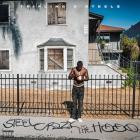 Trifling X Steelz - Steel Crazy In The Hood