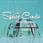 The Bluntskins - Space Condo