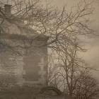 The Cold Harbour - Homebound