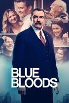 Blue Bloods - Staffel 3