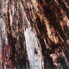 Pugilist & Another Channel - Fight Authority / Seek Truth