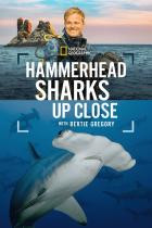 Hammerhaie.hautnah.mit.Bertie.Gregory.2026.GERMAN.DL.DOKU.1080p.WEB.h264-HAXE